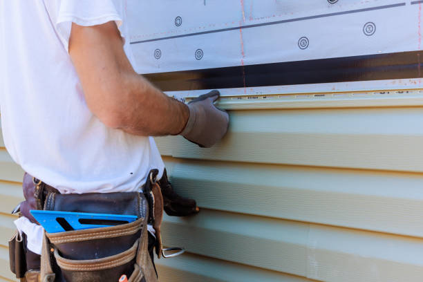 Best Steel Siding Installation  in Montevideo, MN